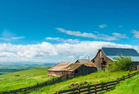 1708329298173947.png image.png