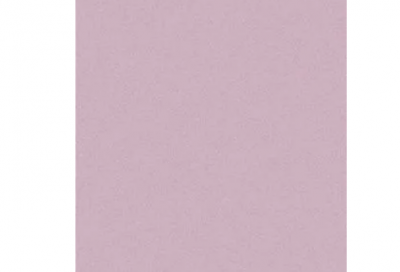 ​博览群书造句