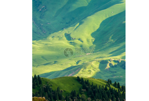 1708330297155948.png image.png