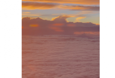 ​设身处地造句