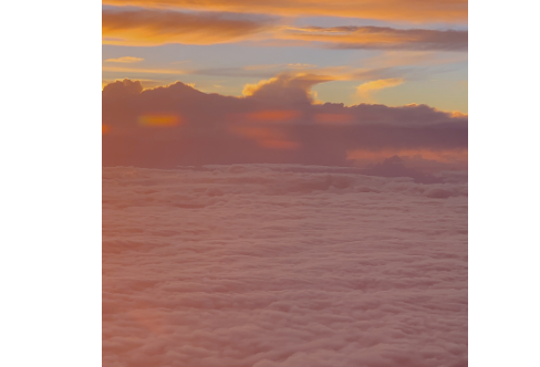 1708331296673717.png image.png