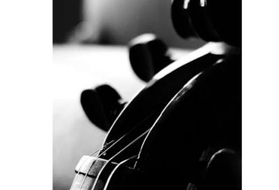 ​锋芒毕露造句