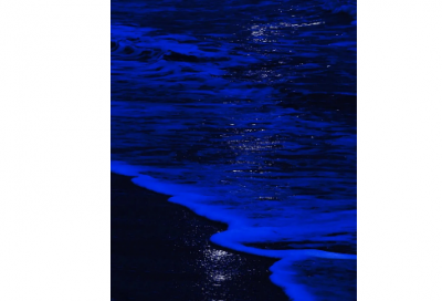 ​心悦诚服造句