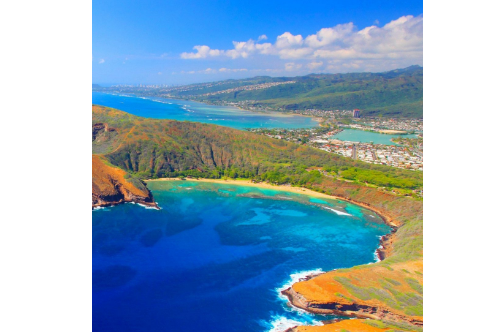 1708334959493171.png image.png