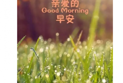 ​以身试法造句