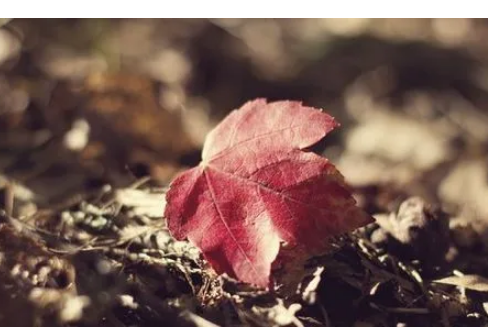 1708346608225713.png image.png