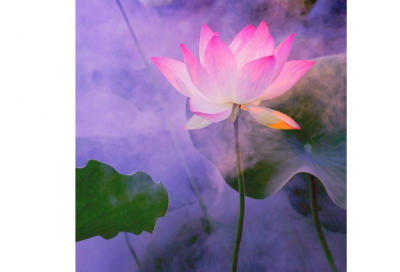 ​气喘吁吁造句