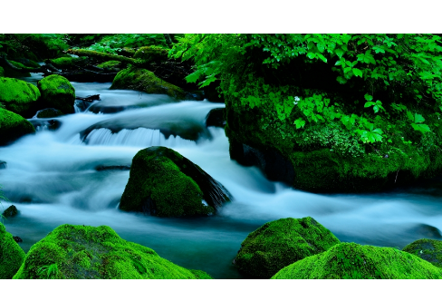 1708346941504644.png image.png