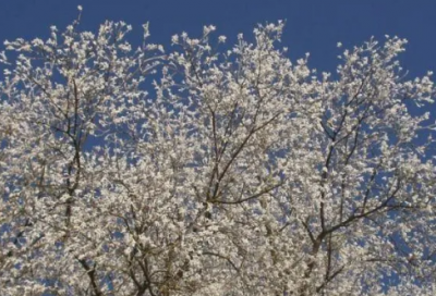 ​察言观色造句