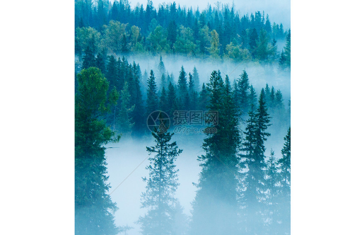 1708350271563280.png image.png