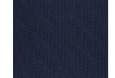 ​驰名中外造句