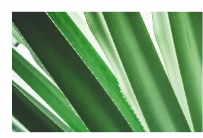 ​燃眉之急造句