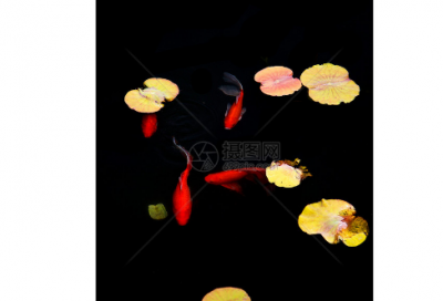 ​流芳百世造句