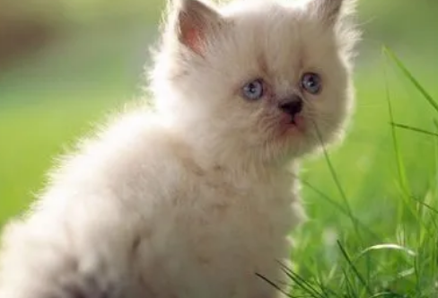 1708357594174716.png image.png