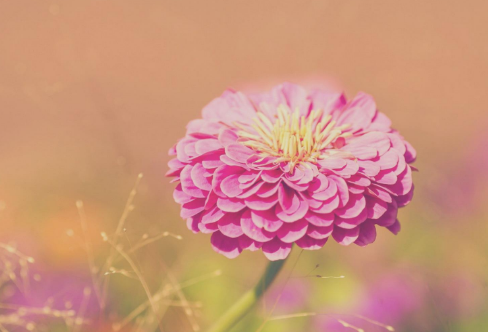 1708358142457189.png image.png