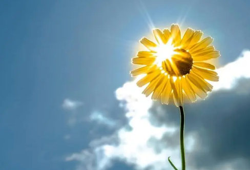 1708358808627190.png image.png