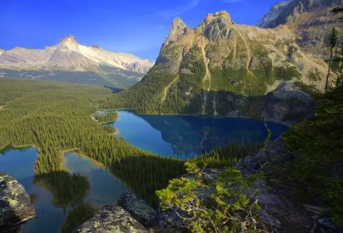 1708358975810720.png image.png