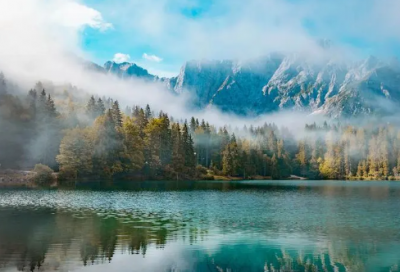 ​摇头摆尾造句