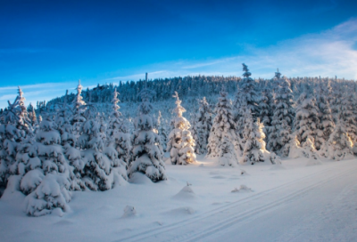​烟波浩渺造句