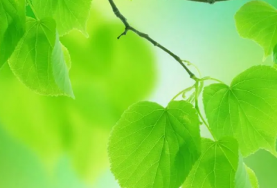 ​转危为安造句