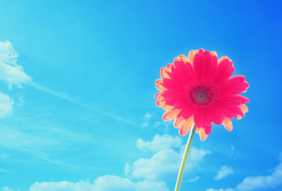 ​置之度外造句