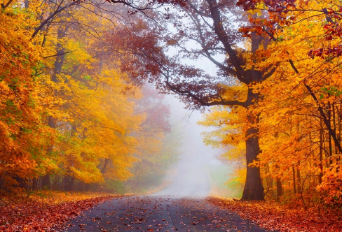 1708364844273973.png image.png