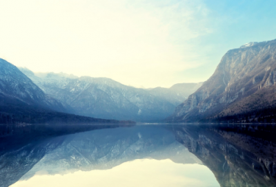 ​集思广益造句