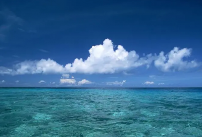 ​望尘莫及造句