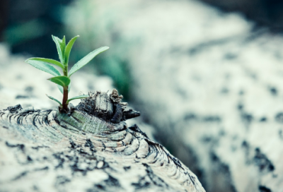 ​紧锣密鼓造句