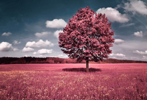 1708369839491866.png image.png