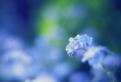 ​利欲熏心造句