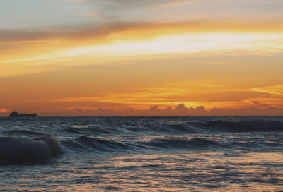 ​投机取巧造句