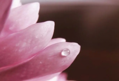 ​机不可失造句