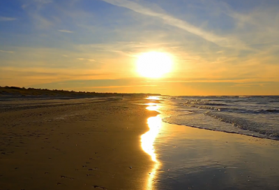 ​风度翩翩造句