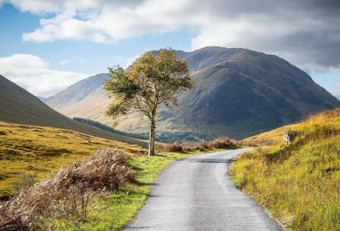 1708375830661777.png image.png