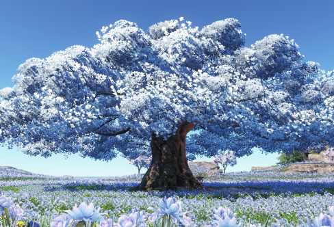 1708376662859799.png image.png