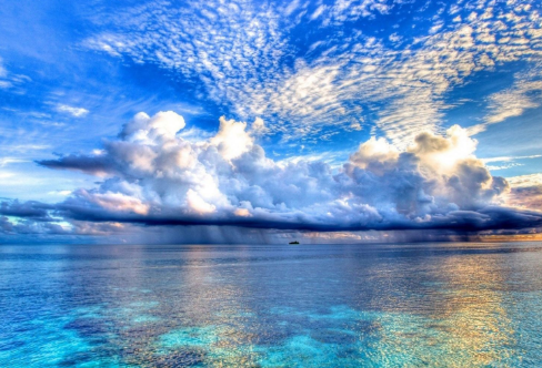 1708377161260335.png image.png