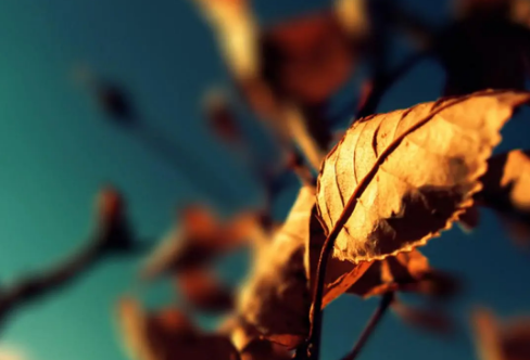 1708377494226772.png image.png