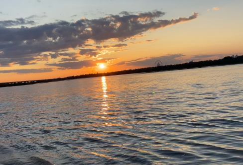 1708377660888421.png image.png