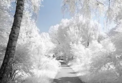 ​物极必反造句