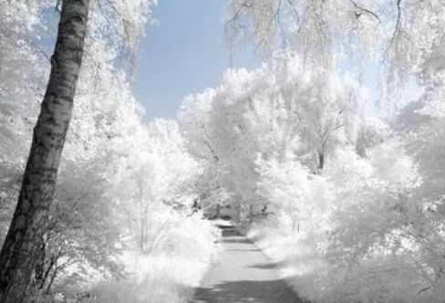 1708378992220684.png image.png