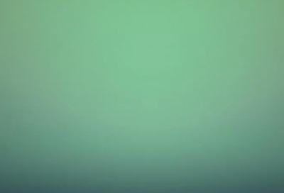 ​莫衷一是造句