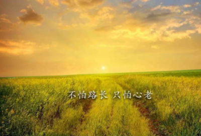 ​休养生息造句