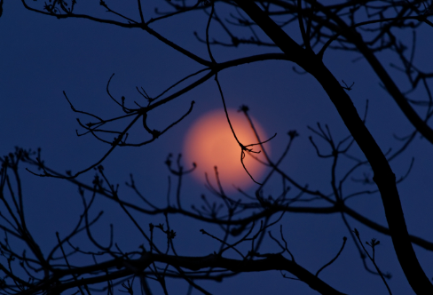 1708380823495784.png image.png