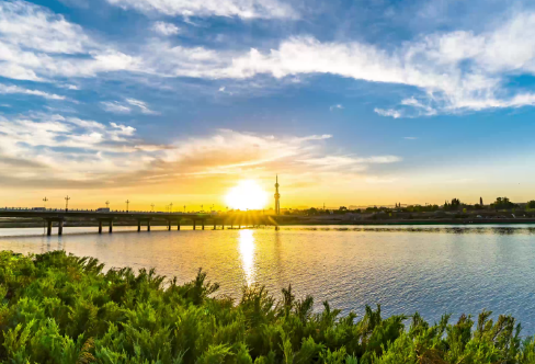 1708380989740243.png image.png