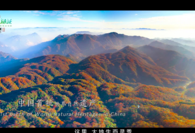 ​饮水思源造句