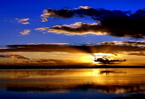 1708383320409236.png image.png