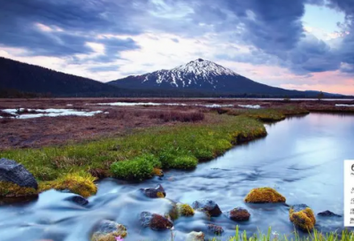 ​杀人放火造句