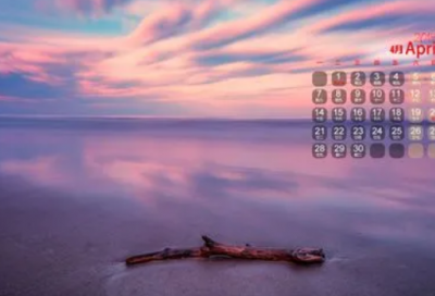 ​所向无敌造句