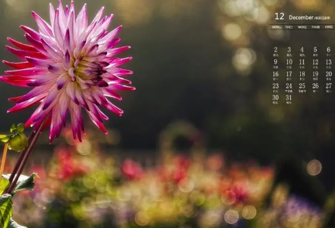 1708388812117810.png image.png